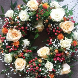 20180914_114125 (3) - Kopie