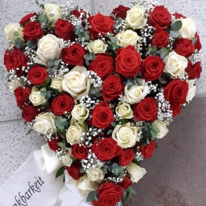 20210108_093027 (2)-n